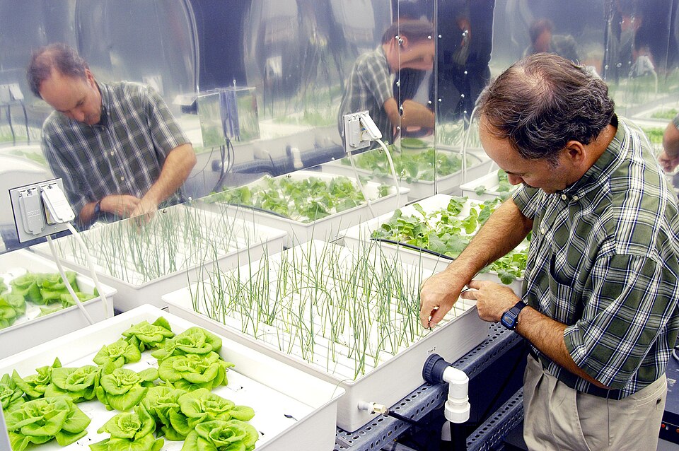 Aeroponic Tower