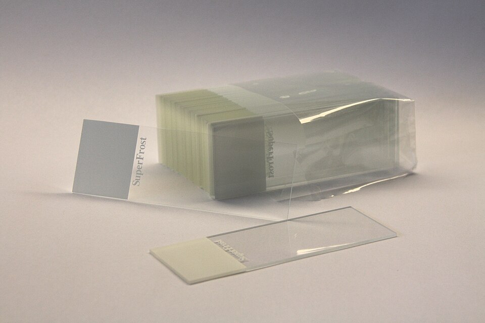 Slide Stainer