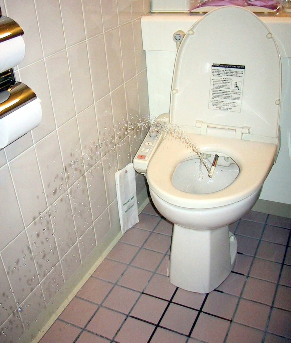 Electronic Bidet Seat