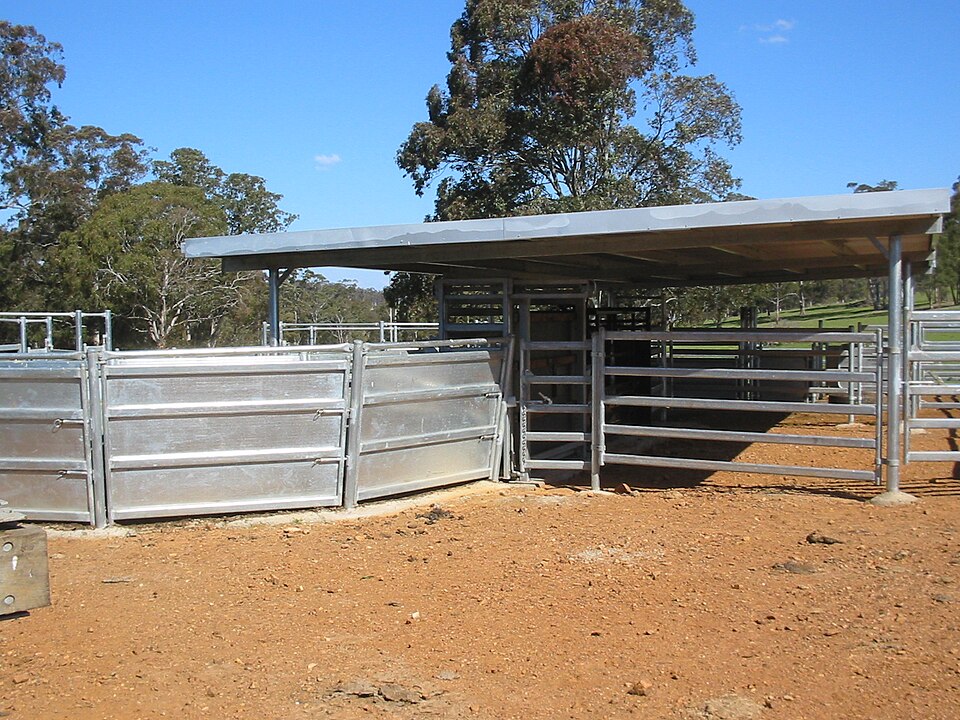 Cattle Squeeze Chute