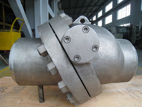 Swing / Wafer Check Valve