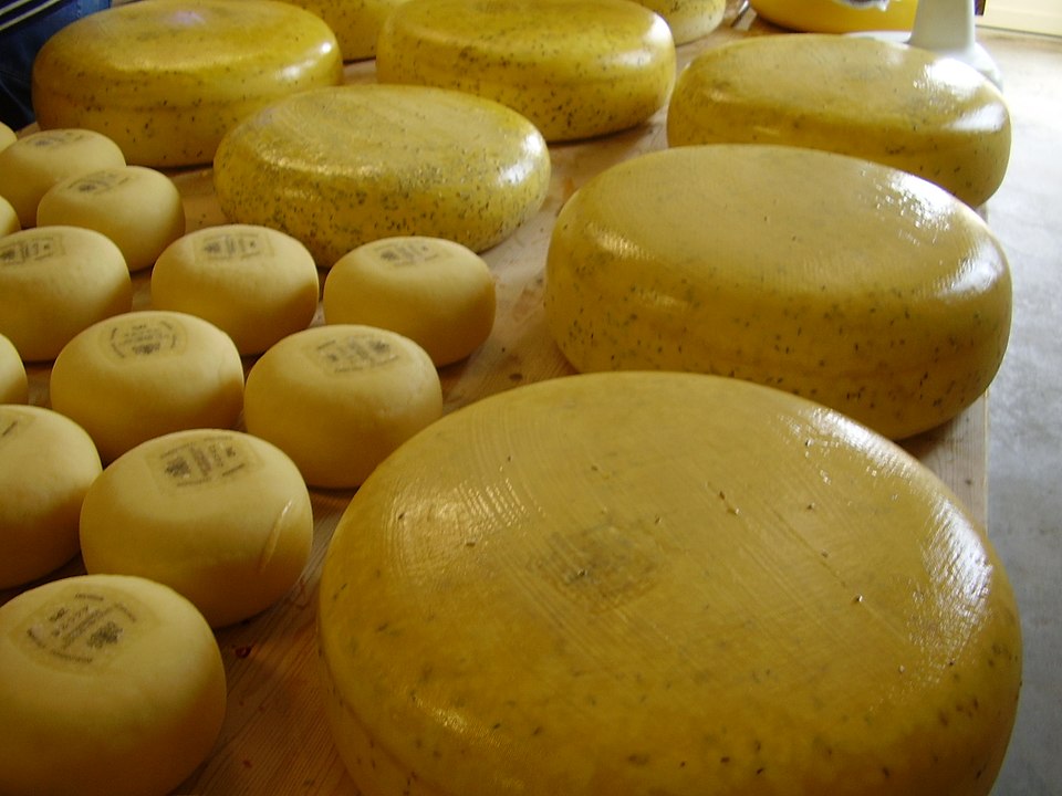 Cheese Brining System
