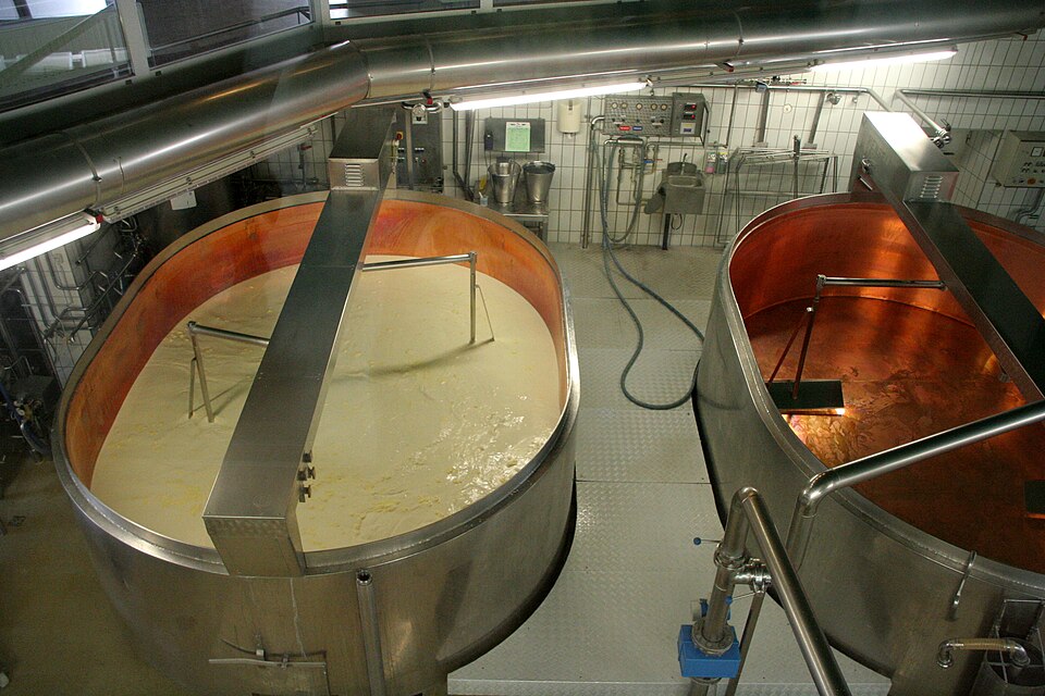 Cheese Vat