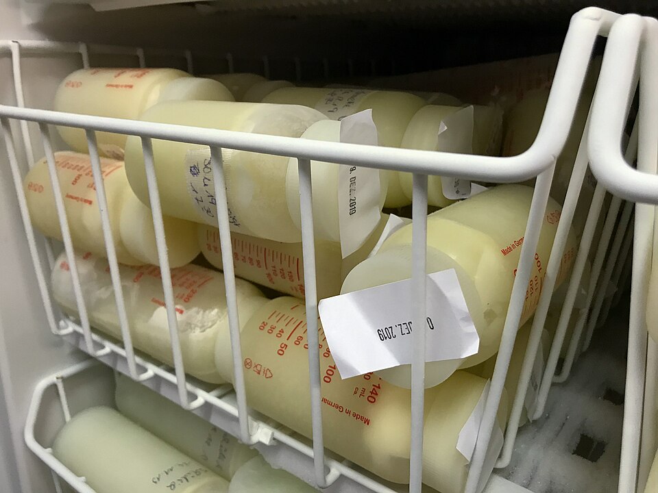 Chest Freezer