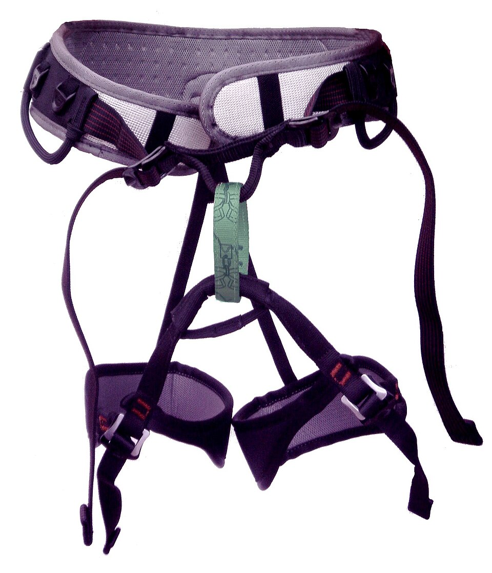 Climbing Harness