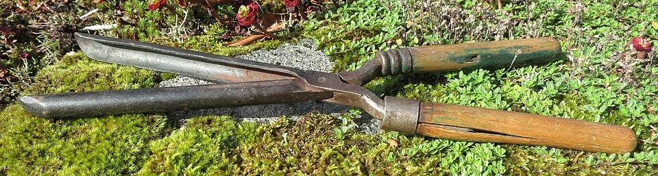 Curling Iron