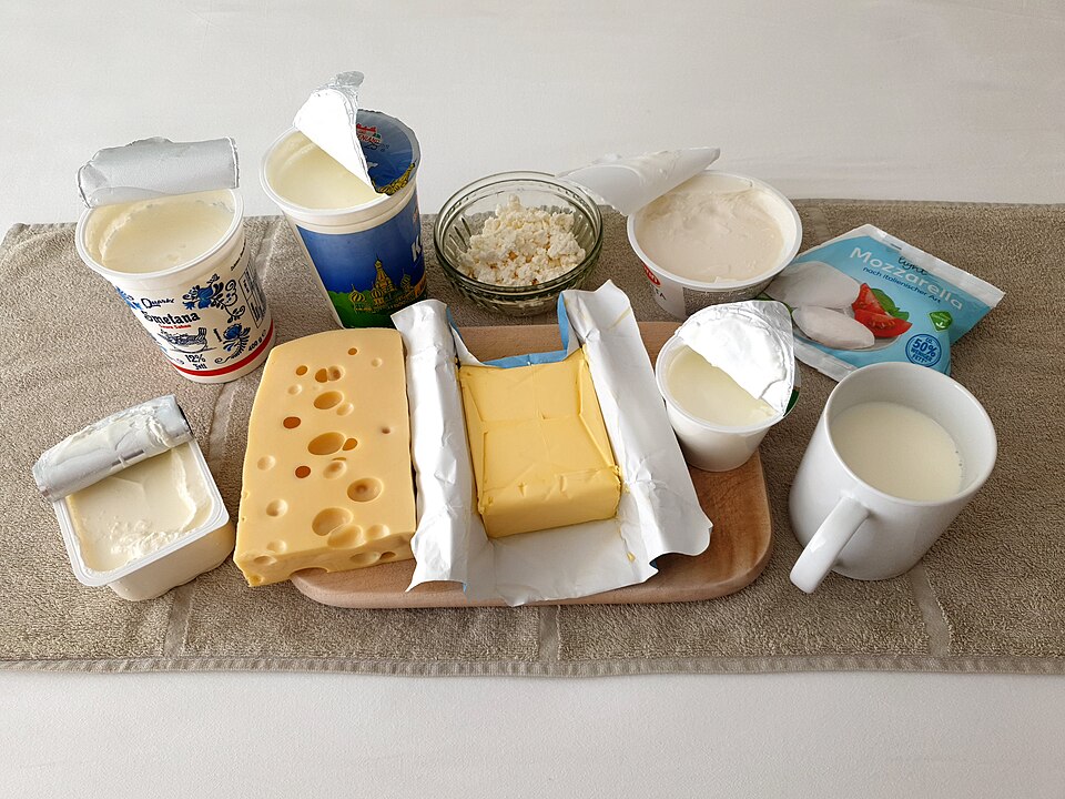 Dairy Homogenizer