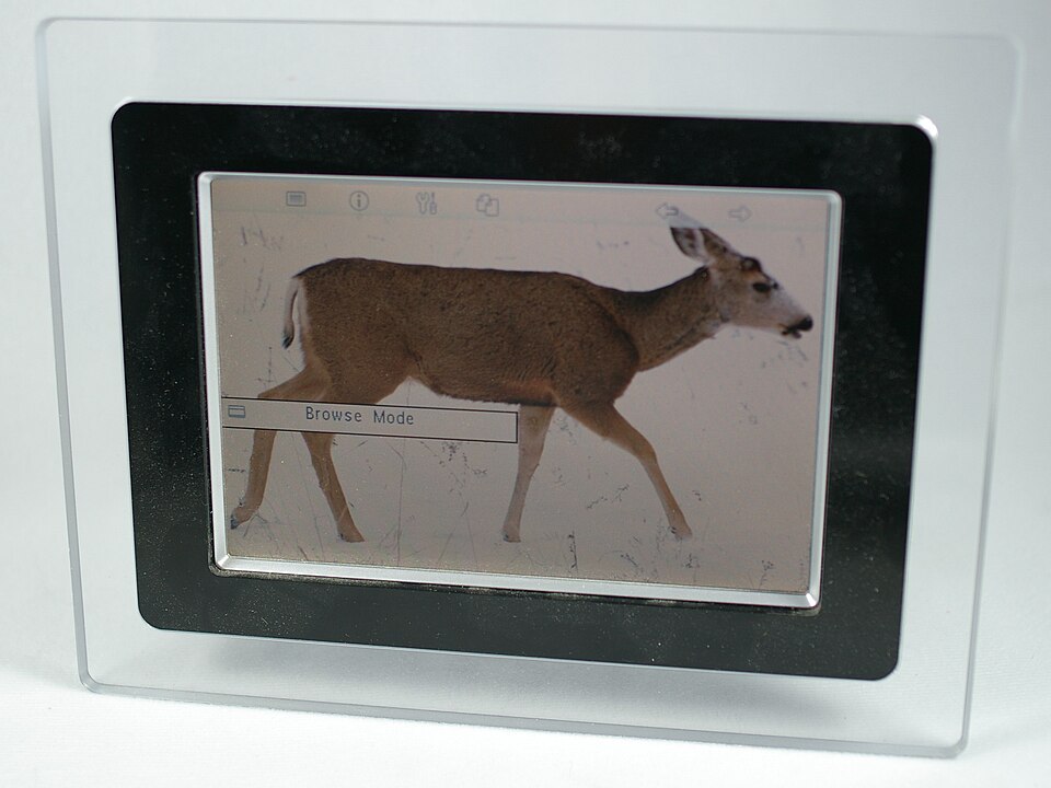 Digital Photo Frame