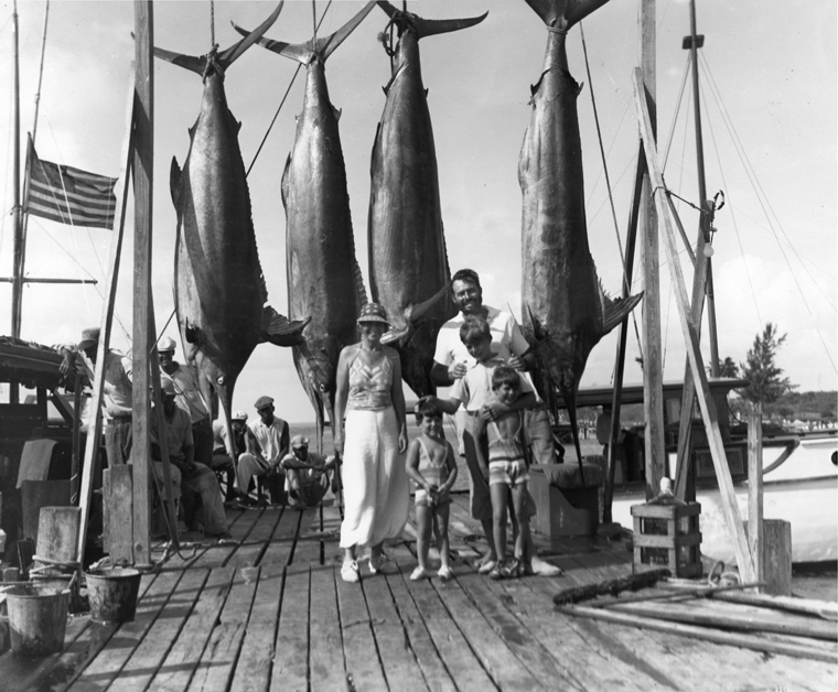 Fishing Downrigger