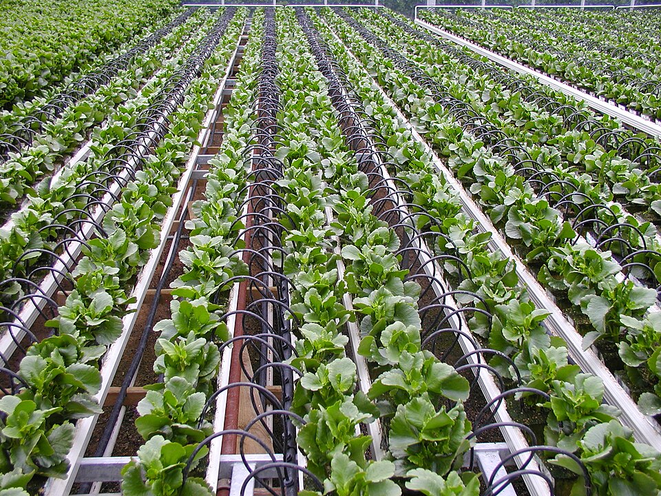 Drip Irrigation Kit