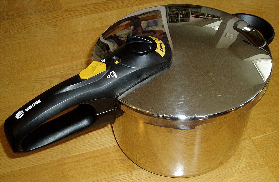 Electric Egg Cooker
