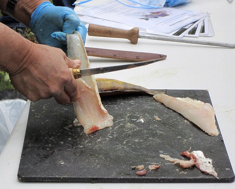 Electric Fillet Knife
