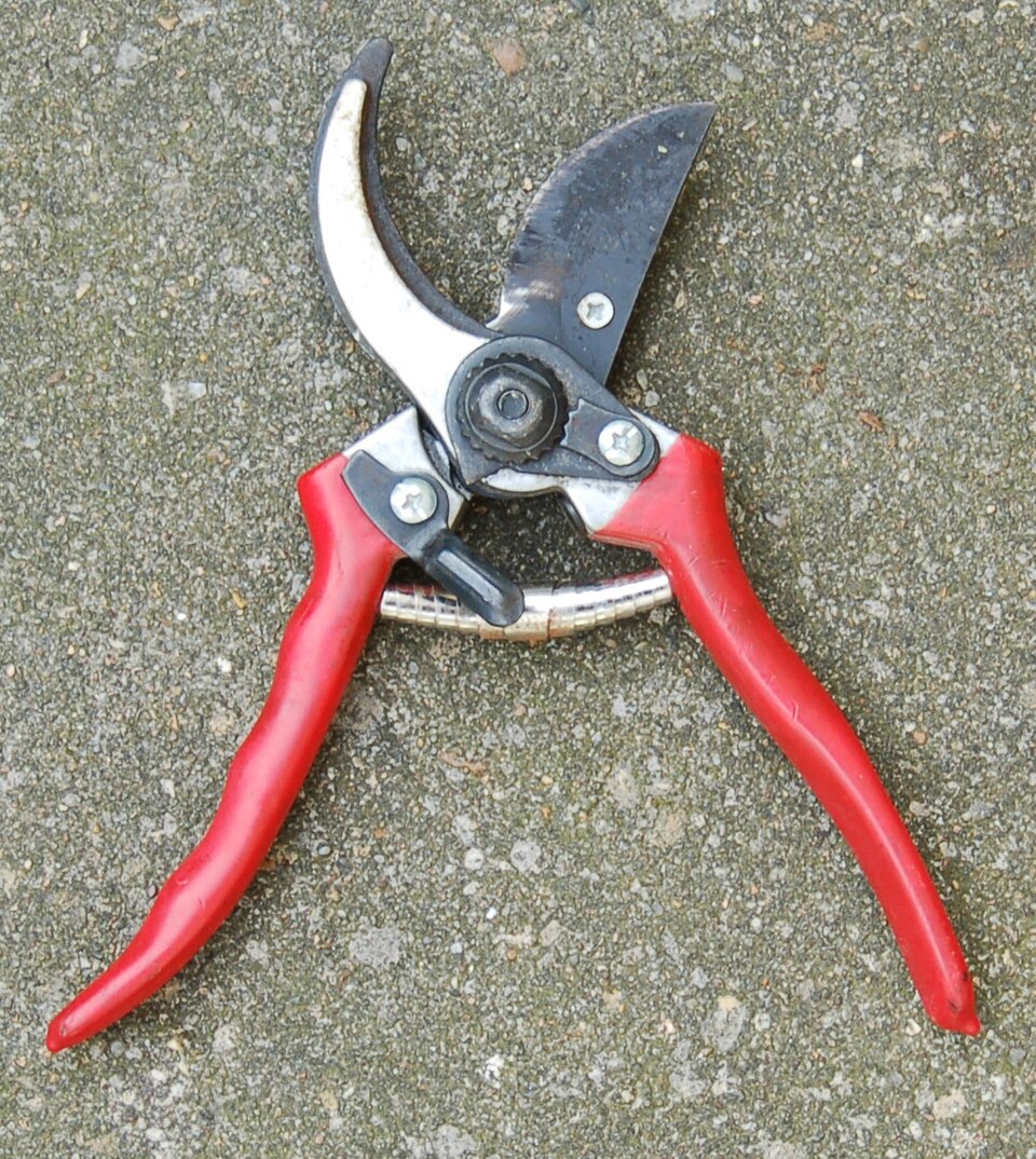 Electric Pruning Shears