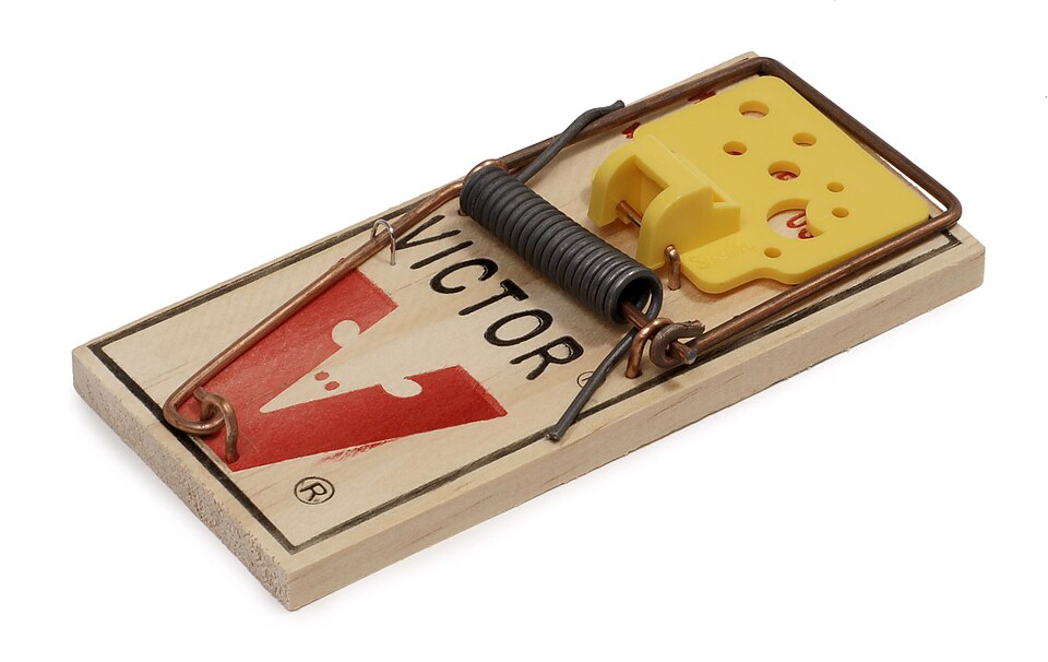 Electronic Rodent Trap