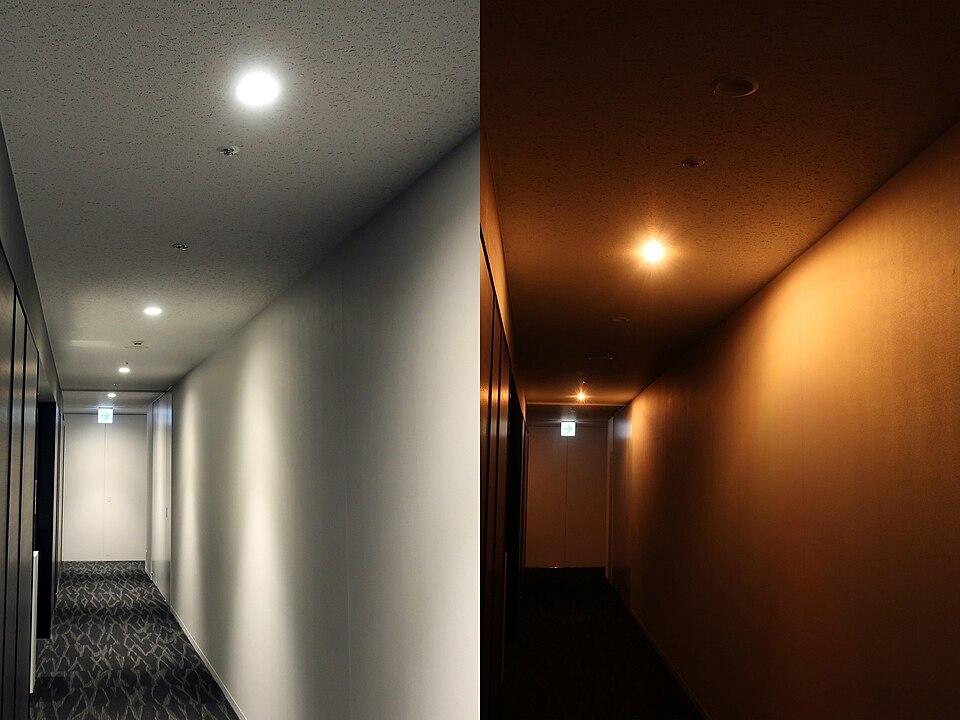 Emergency Exit Light
