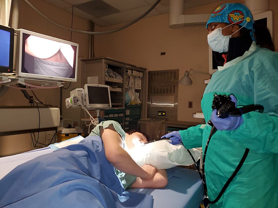 Endoscope System