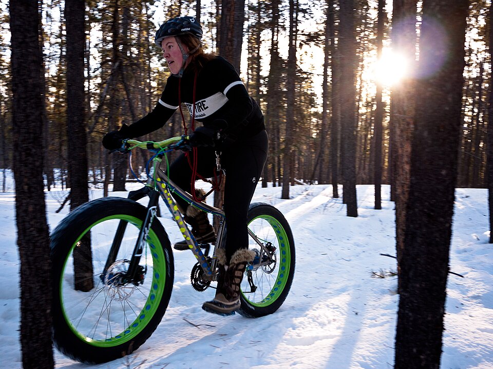 Fat Bike
