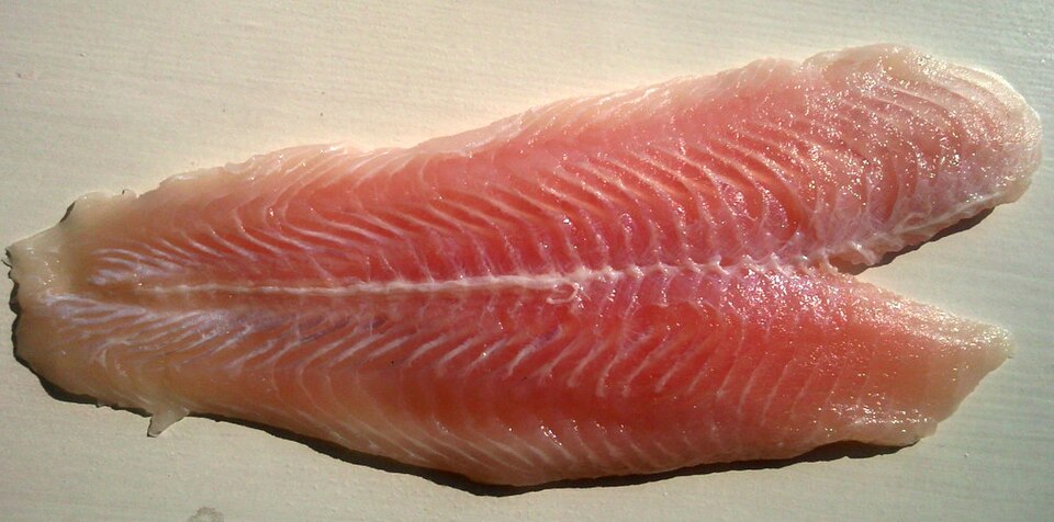 Fish Filleting Machine