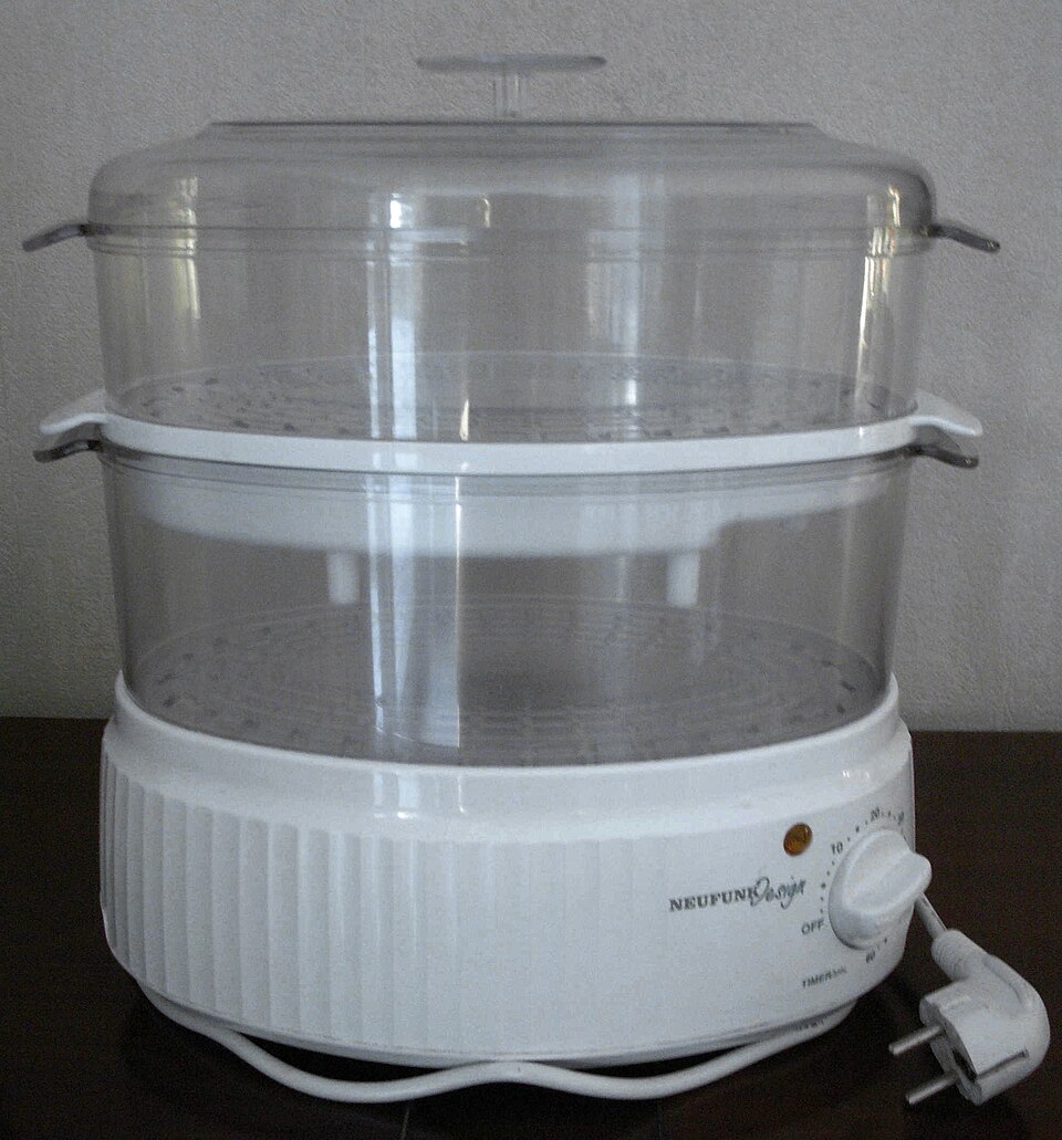 Electric Food Steamer