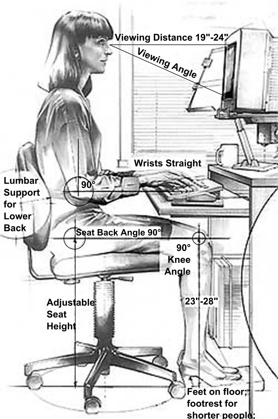 Foot Pressure Scanner