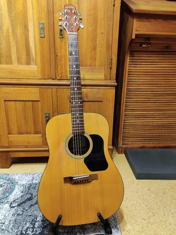 00 Walden Acoustic Guitar D310e 01.jpg