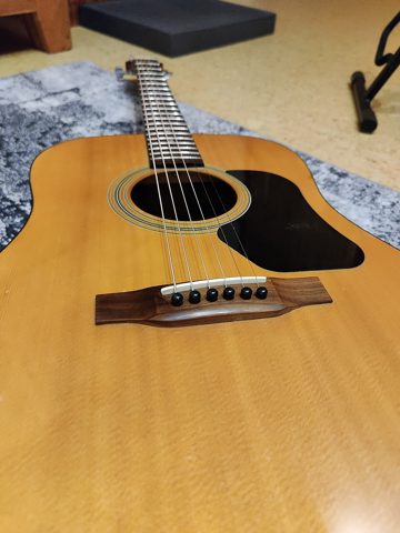 00 Walden Acoustic Guitar D310e body.jpg