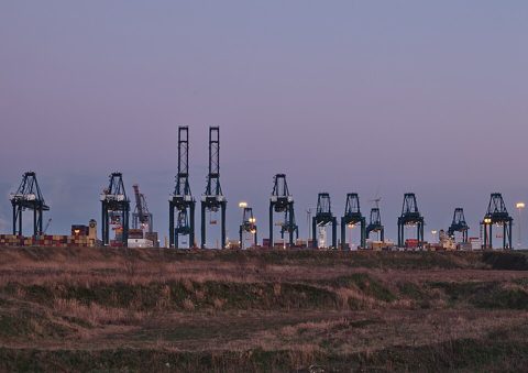 Container cranes at the MPET- MSC PSA European Terminal in Port of Antwerp (Kieldrecht, Belgium) during the sunset civil twilight (DSCF3919).jpg