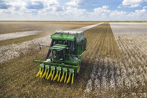 Cotton harvester in Batesville, Texas field - angle view.jpg