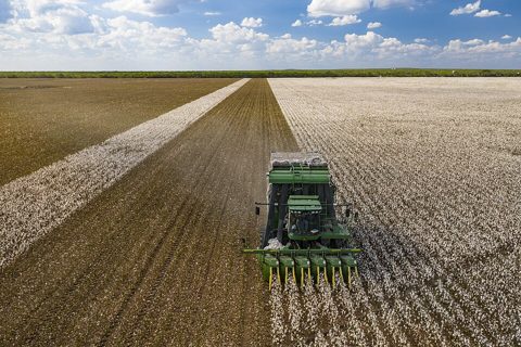 Cotton harvester in Batesville, Texas field - front view landscape.jpg