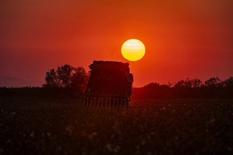 Cotton harvester at sunset with dark orange sky in Batesville, Texas cotton field.jpg