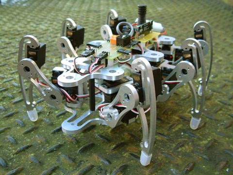Hexapod walking robot.jpg
