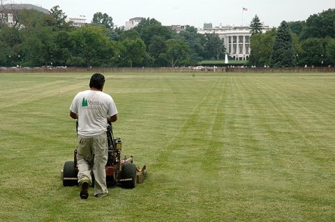 Lawn mower mowing The Ellipse in front of the White House, Washington, D.C., 2007.jpg