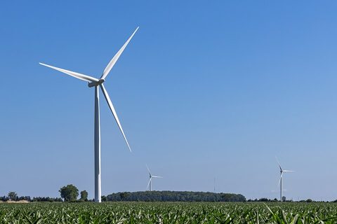 Wind turbines along North Middle Road, Essex County, Ontario, 2025-06-29.jpg