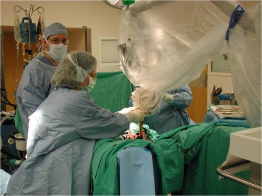 Gamma Knife