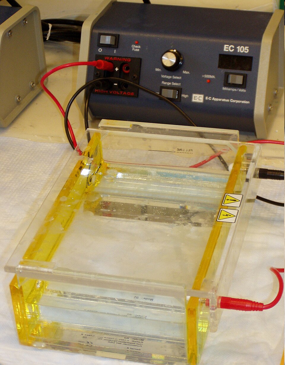 Gel Electrophoresis System