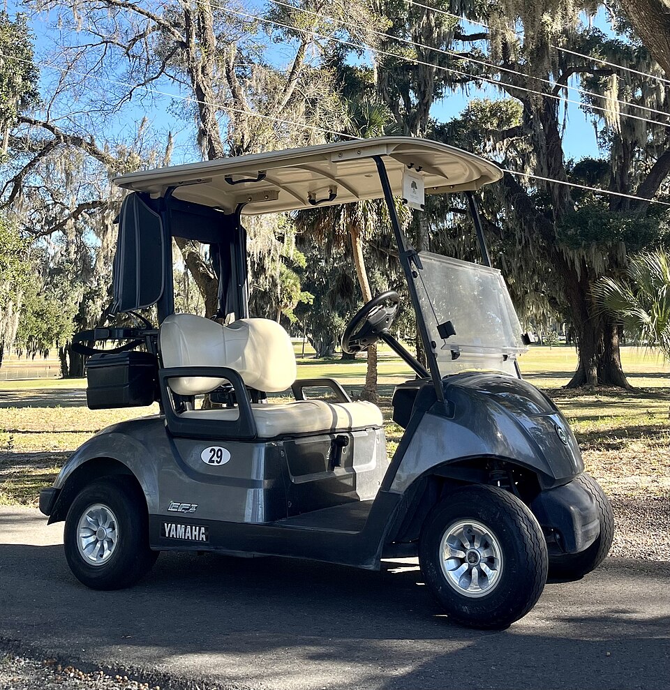 Electric Golf Cart