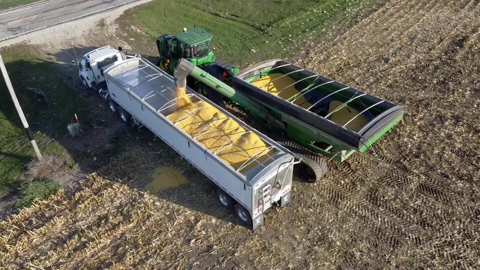 Grain Cart