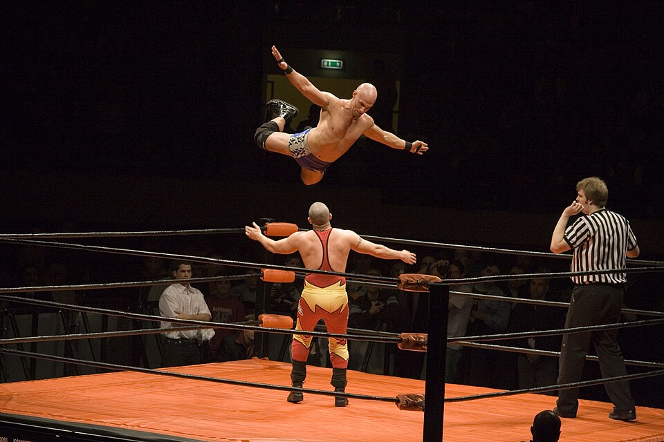 Gym Mat Hoist