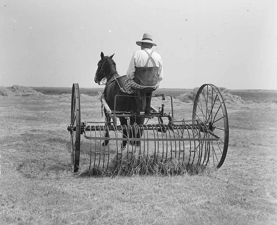 Rotary Hay Rake