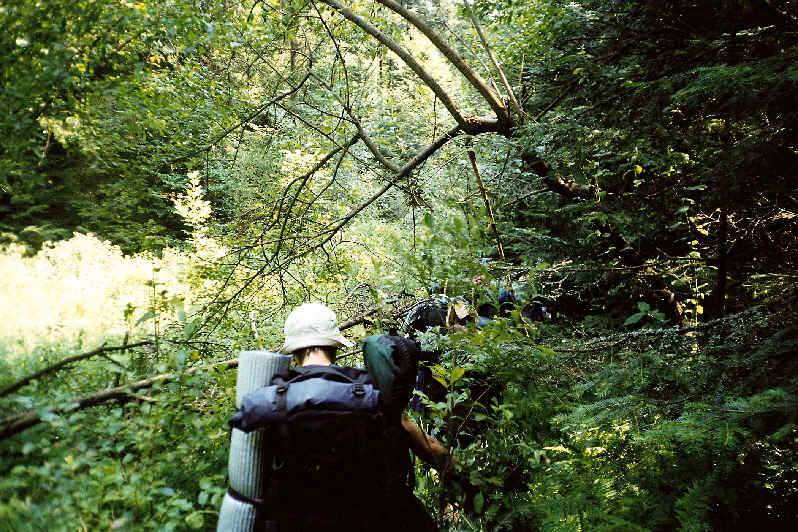 Hiking Backpack