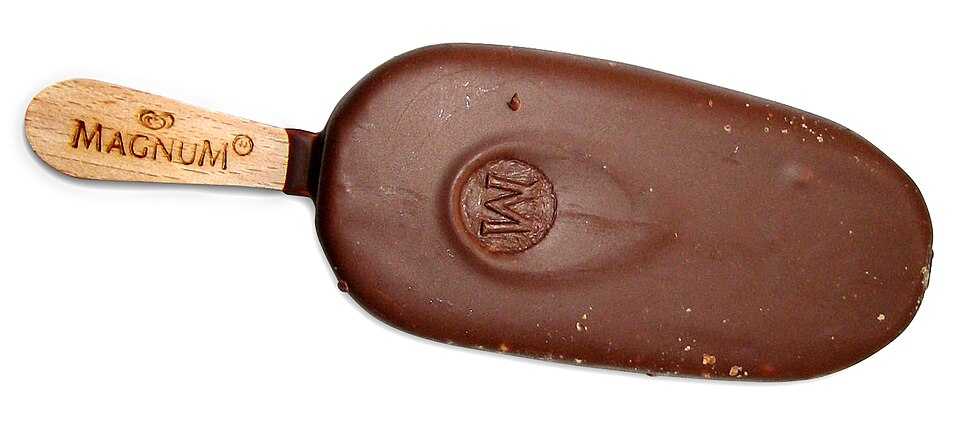 Home Ice Cream Maker