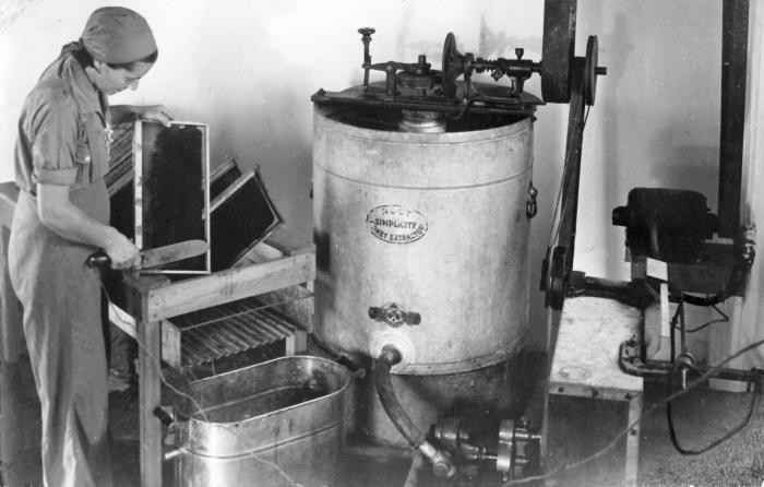 Honey Extractor