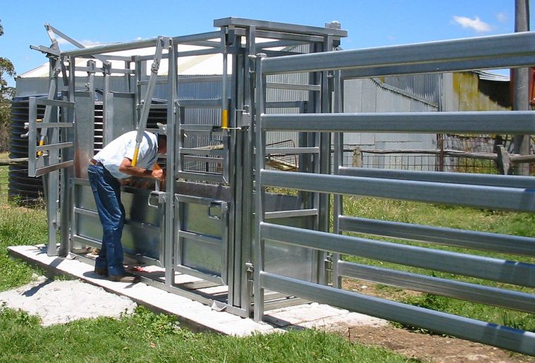 Hoof Trimming Chute