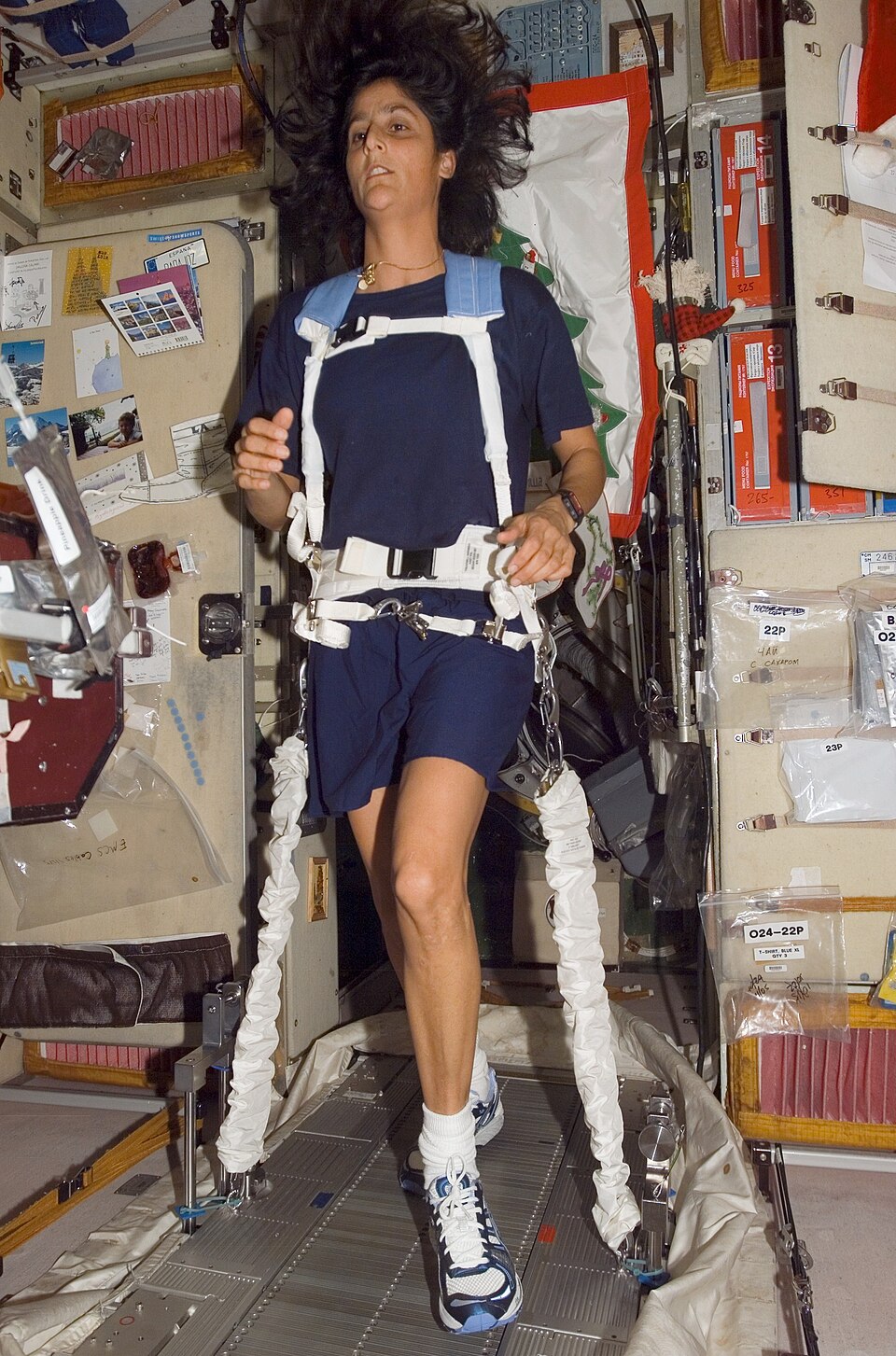 Space Station Treadmill