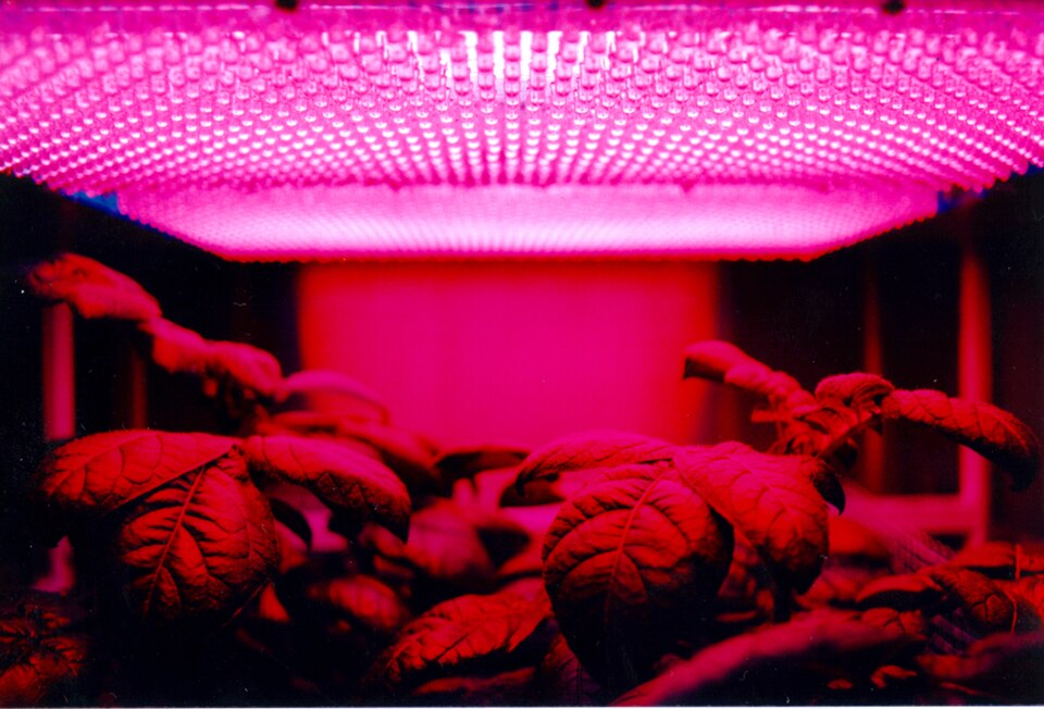 LED Panel Light