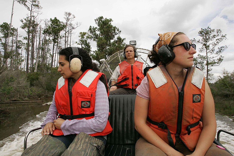 Life Jacket (PFD)