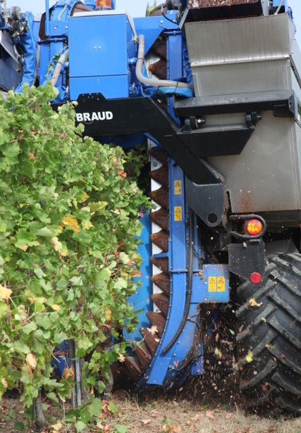 Grape Harvester