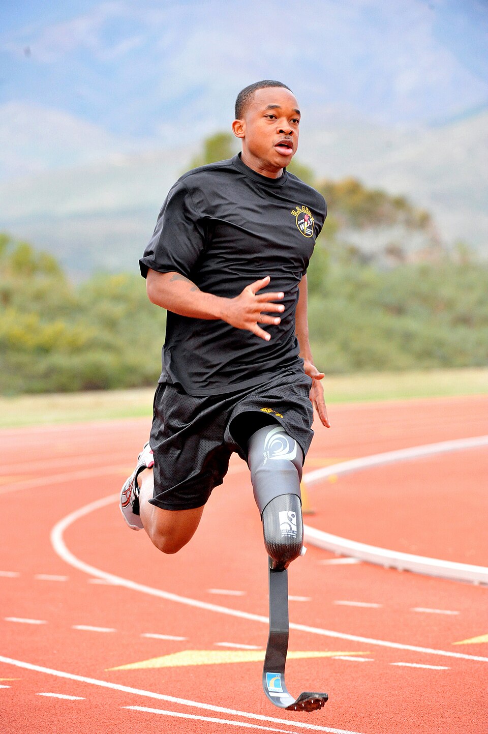 Microprocessor Prosthetic Knee