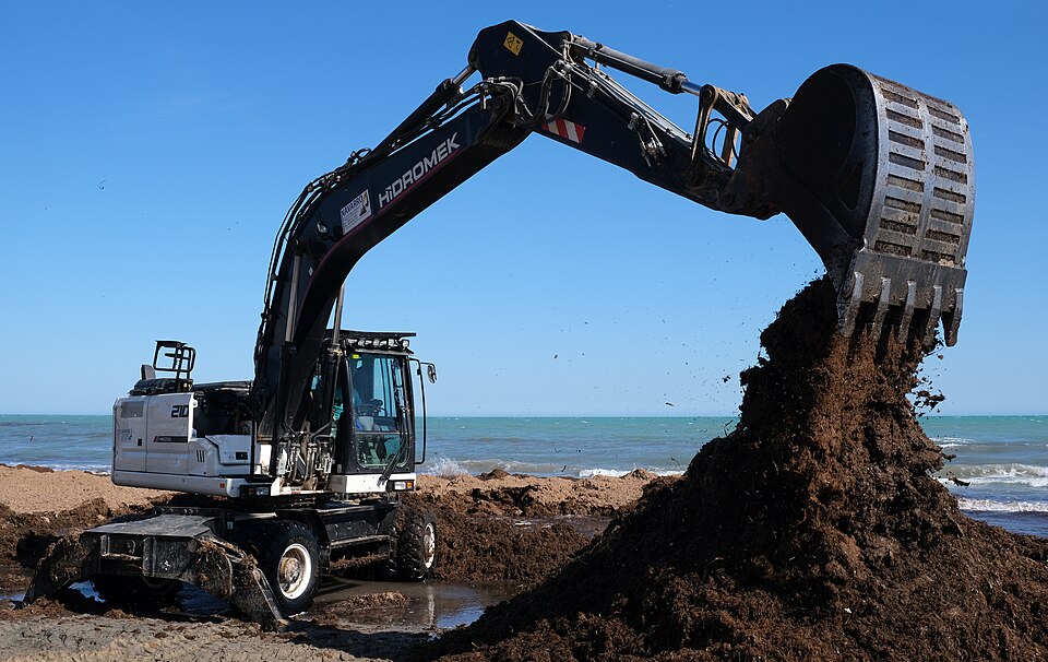 Mini Excavator