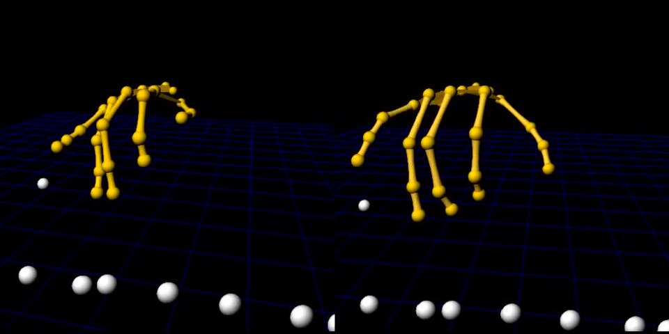 Motion Capture System